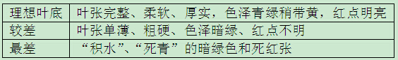 新人求教 为何武夷岩茶毛茶与精茶口味差别那么大