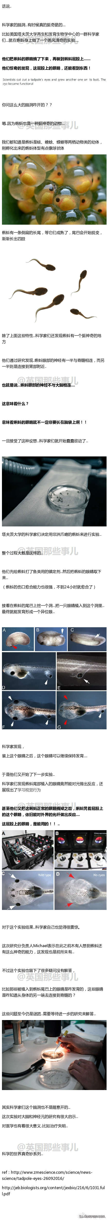 内涵图第1758期：下次不要削皮玩，这样心情就会好了